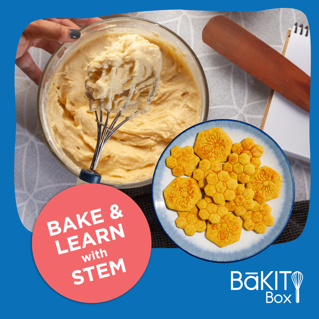 BāKIT Box Hexagon Honeycomb Cookies Pollination Exploration STEM Activity Kit