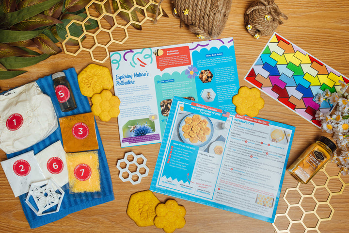 BāKIT Box Hexagon Honeycomb Cookies Pollination Exploration STEM Activity Kit