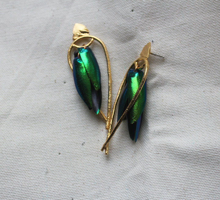 Lingua Nigra Arched Seasons - Enclosed Beetle Wing Earrings