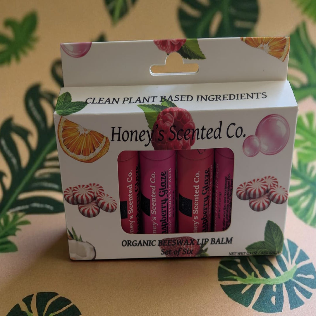 Honey's Scented Co. Organic Plastic-free Beeswax Lip Balm (6 Pack)