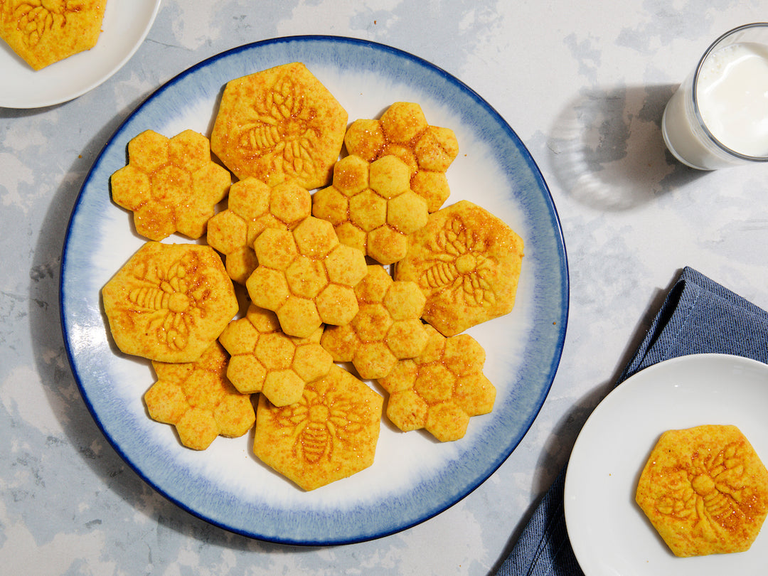 BāKIT Box Hexagon Honeycomb Cookies Pollination Exploration STEM Activity Kit