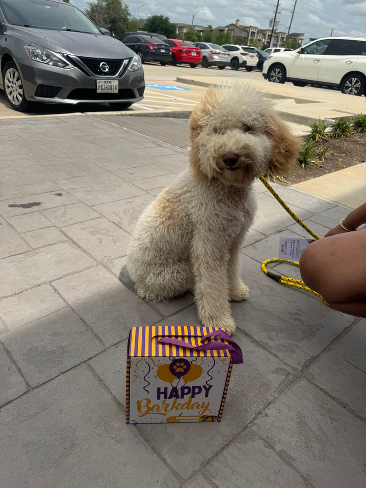 Purpose Pawty BARKDAY BOX (1 BOX ONLY)