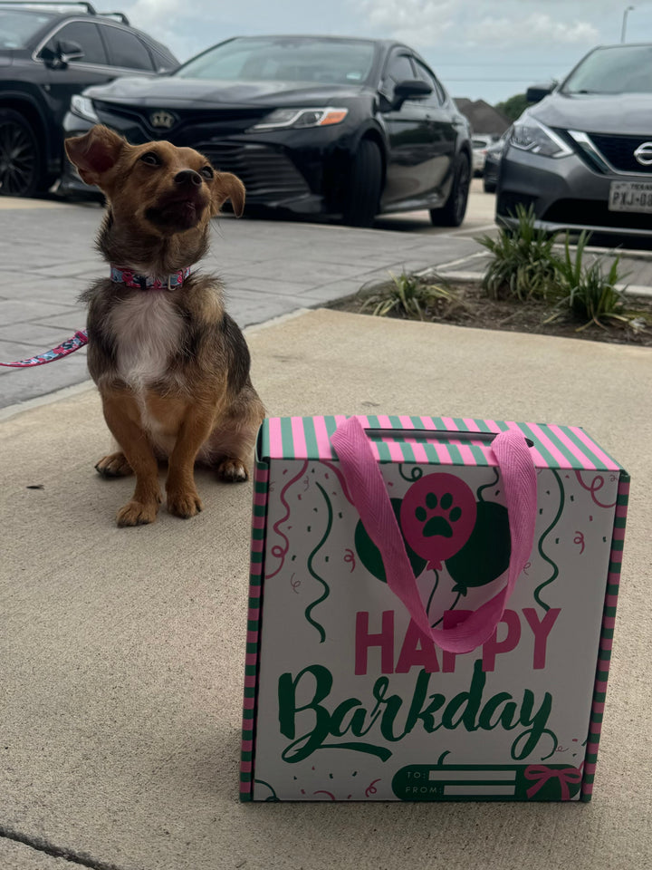 Purpose Pawty BARKDAY BOX (1 BOX ONLY)