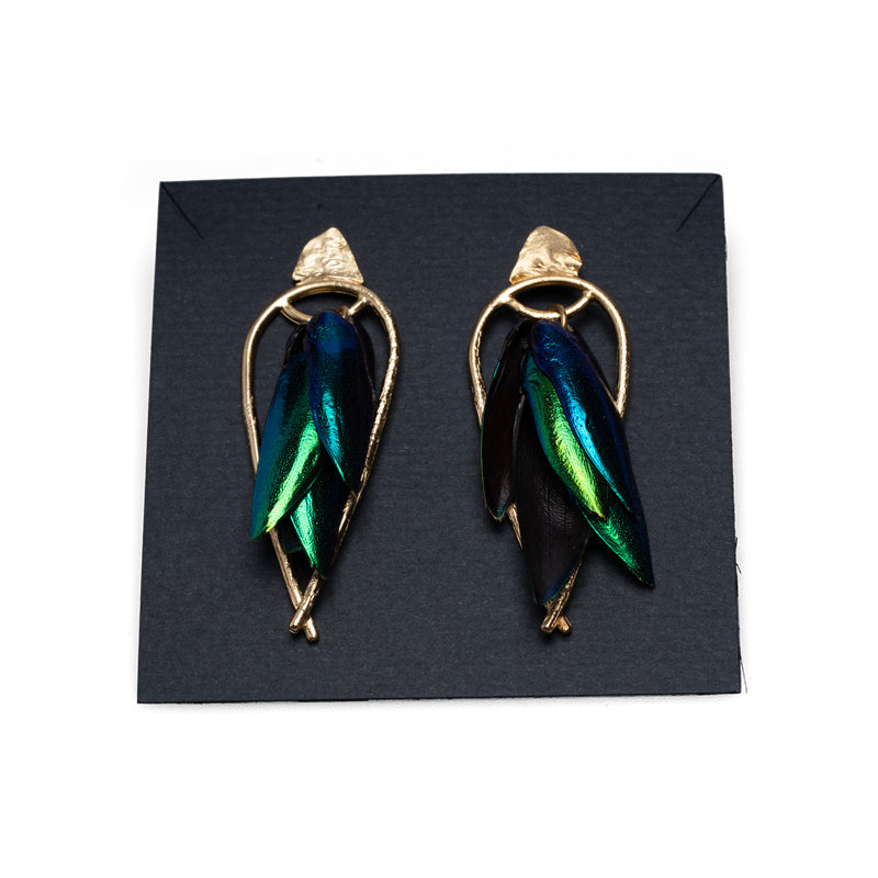 Lingua Nigra Arched Seasons - Enclosed Beetle Wing Earrings