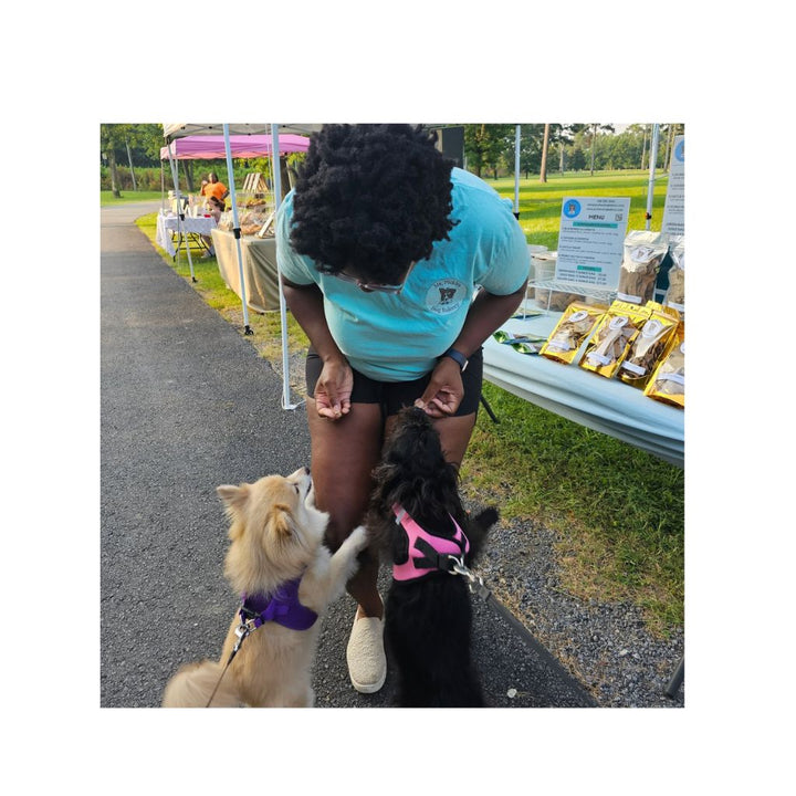 Mr. Pickles Dog Bakery Blueberry & Carrot Dog Treats