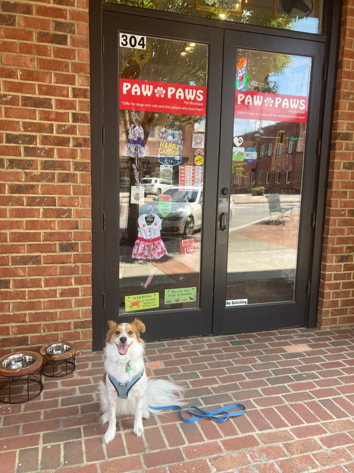 Mr. Pickles Dog Bakery Blueberry & Carrot Dog Treats