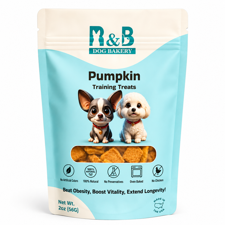 R&B Dog Bakery Pumpkin Training Treats