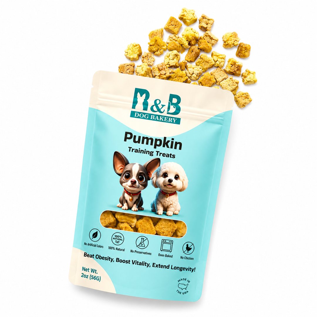 R&B Dog Bakery Pumpkin Training Treats