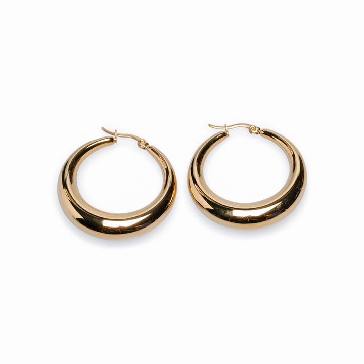 TNT Goods Ari Hoops