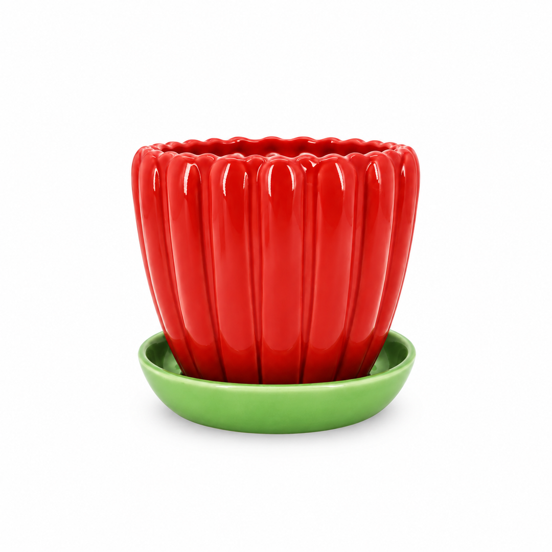 Thea Plant Co Blossom Pot 5" - Red