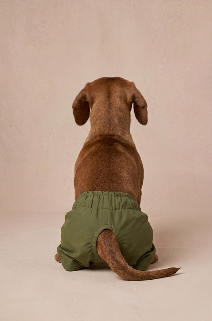 Yacht Club® Access -Limon Dog Resort/Swim Shorts