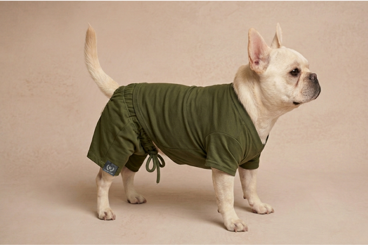 Yacht Club® Access -Limon Dog Resort/Swim Shorts